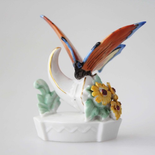 Farfalla cornucopia - farfalla,