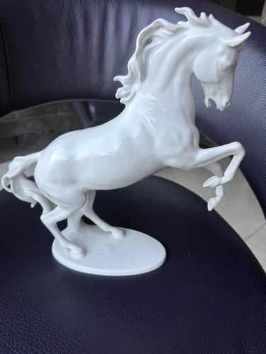 Cavallo salita stallone - salita,