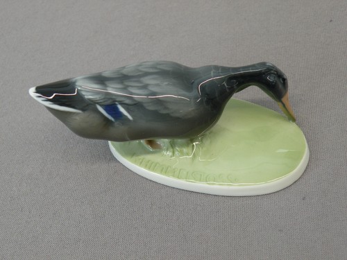 Bella figura anatra - figura, di