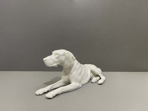 Statua fraureuth cane - cane, da